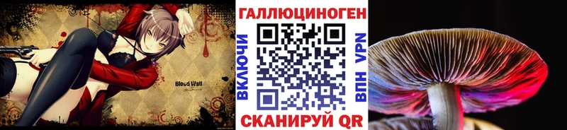 Псилоцибиновые грибы Cubensis  купить наркоту  площадка какой сайт  Краснослободск 